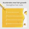 30ml Private Label Hair Growth Serum Custom Logo Hairs Root Grow Nutrient Solution Prevention Hair-loss Essential Oil Makeup 2