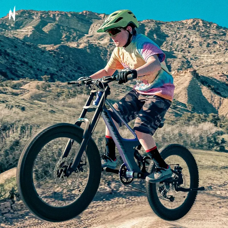 22inch Soft Tail MTB Bike DH Mountain Bicycle Magnesium