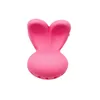 50PCS  Dog Hair Accessories Hair Clips for Small Dogs Colorful Cute Crown Hairpin for Dog Girls Pet Hair Grooming Dog Supplies 3
