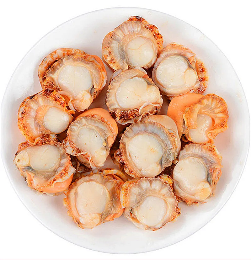Dried Scallop SCALLOPS DRY,fan Shell,Shanbei Wild Scallops,Whole
