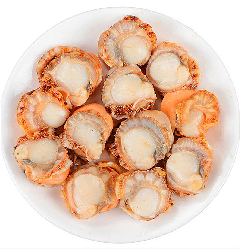 Dried Scallop SCALLOPS DRY,fan Shell,Shanbei Wild Scallops,Whole