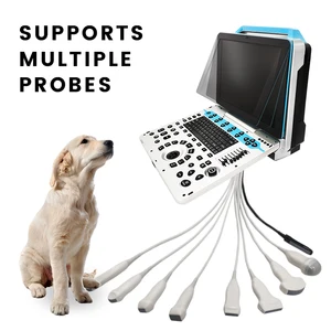 15 Inch Pet Hospital Laptop Doppler Ultrasound Scanner Canine PW Sonar Machine Dog Cat Pregnancy Testing  Machine