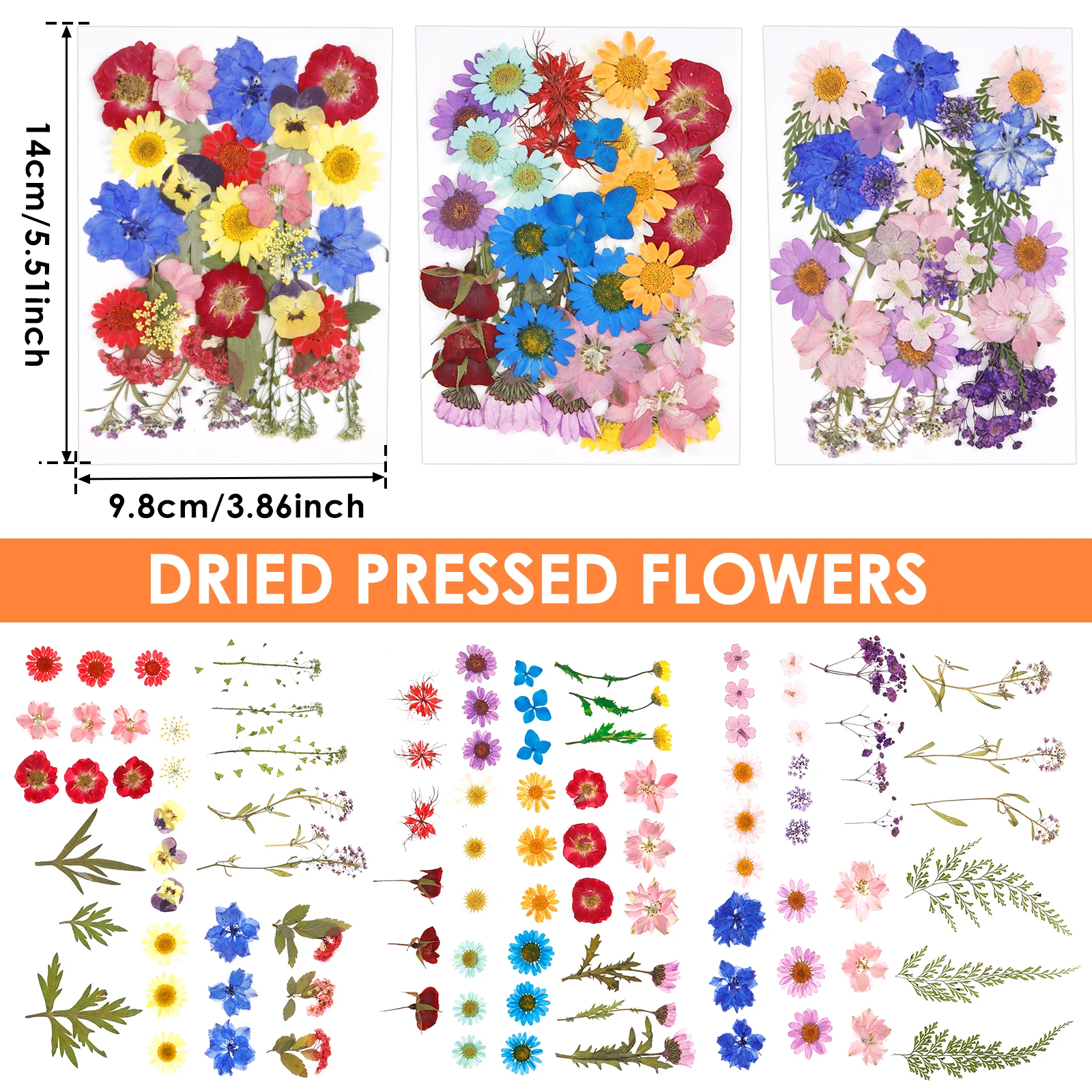 Getrocknete Blumen DIY gepresste Blumen Aufkleber 104/96/94pcs echte natürliche drückende Blumen blätter für DIY machen Kunst dekoration nach Hause – Detail 4