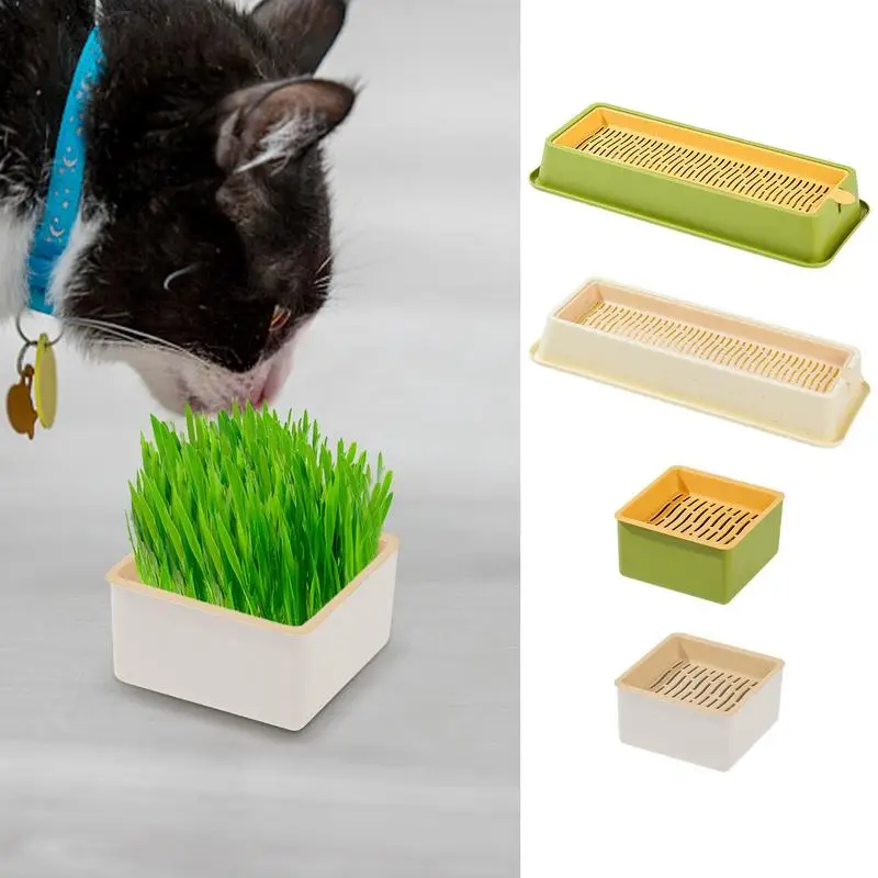 

Cat Grass Growing Kit Cat Sprout Dish Growing Pot Layered Cat Plant Soilless Cat Grass Kit Grass Germination DigestionStarter