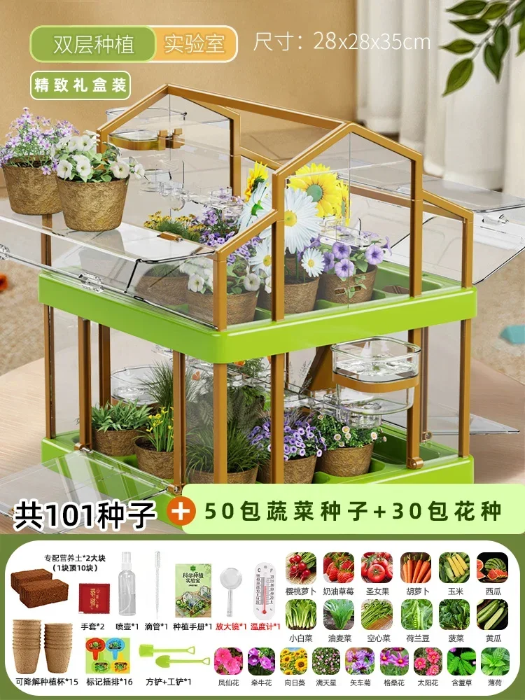 منزل زراعة أشعة الشمس للأطفال تجربة علمية صندوق مر...