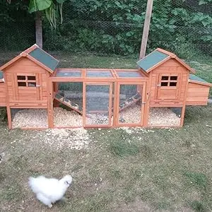CHICKEN COOP