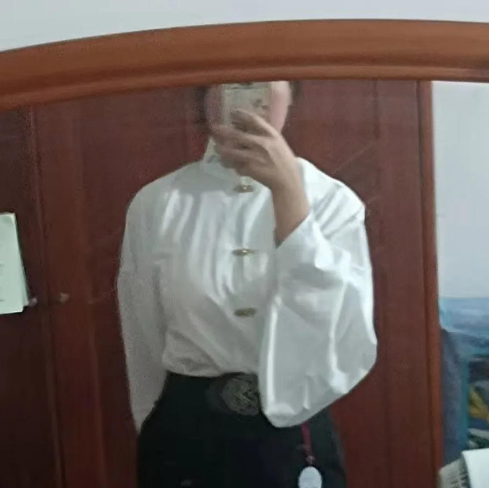 Original Ming Dynasty Hanfu Shirt Ladies Mmortal Floral Embroidered Chinese Pipa Sleeve Hanfu Top Women