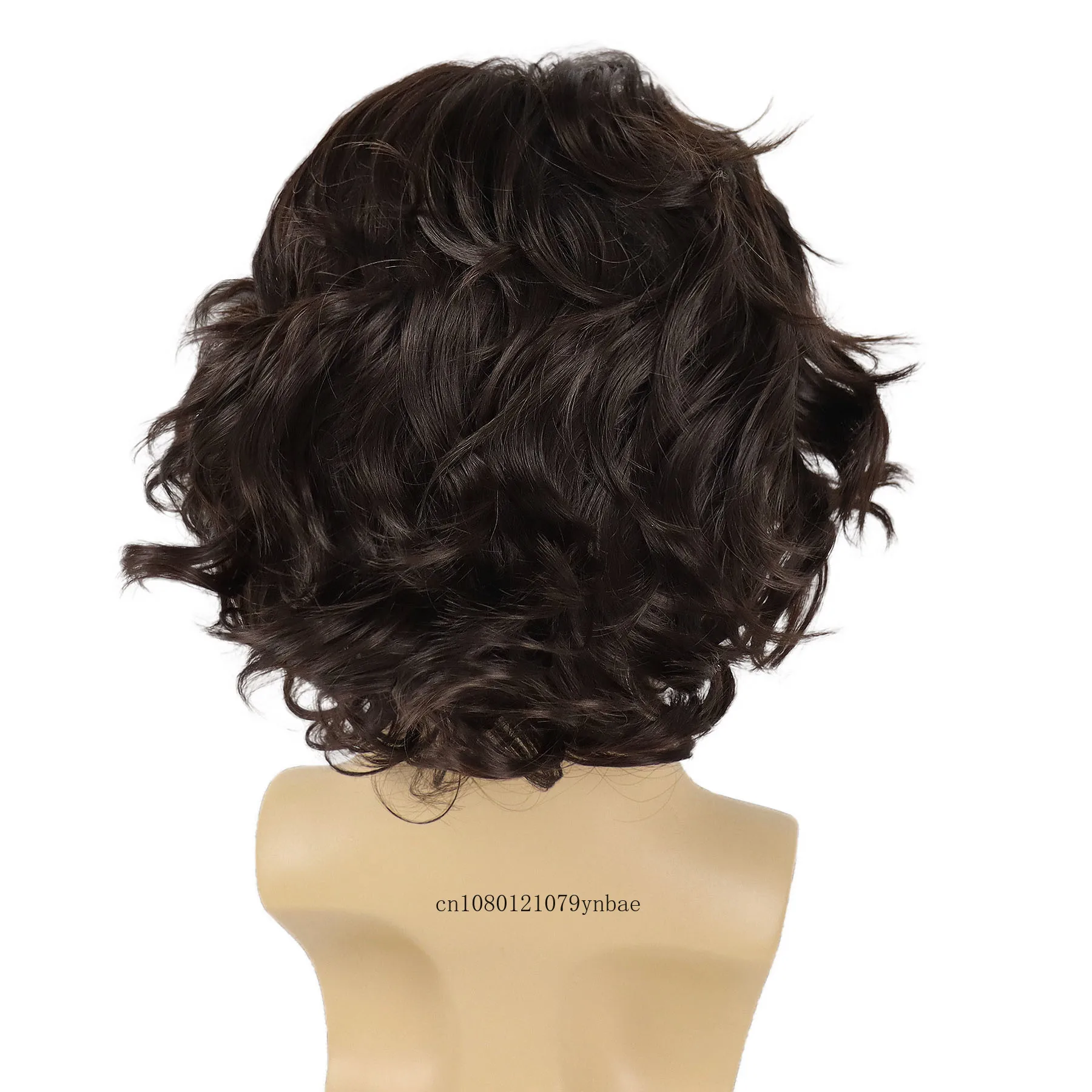 Dark Brown Wigs for Men Synthetic Hair Curly Wig with Side Bangs Short Male Wig Cosplay Carnival Party Costume Wig Casual Style