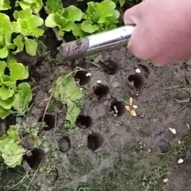 Kerti Növény Vetve Dibber Ferde Száj Ergonómikus Tervezési Lazítva A Talaj Kiegészítőit - Image 2