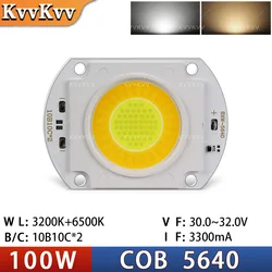 Dual Color Warm White High Power LED Light Matrix COB Chip for DIY Lighting Projects (100W - 2PCS)