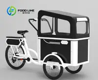 Vélo cargo à pédale électrique à 3 roues avec moteur arrière pour transporter des vélos électriques pour animaux de compagnie 1