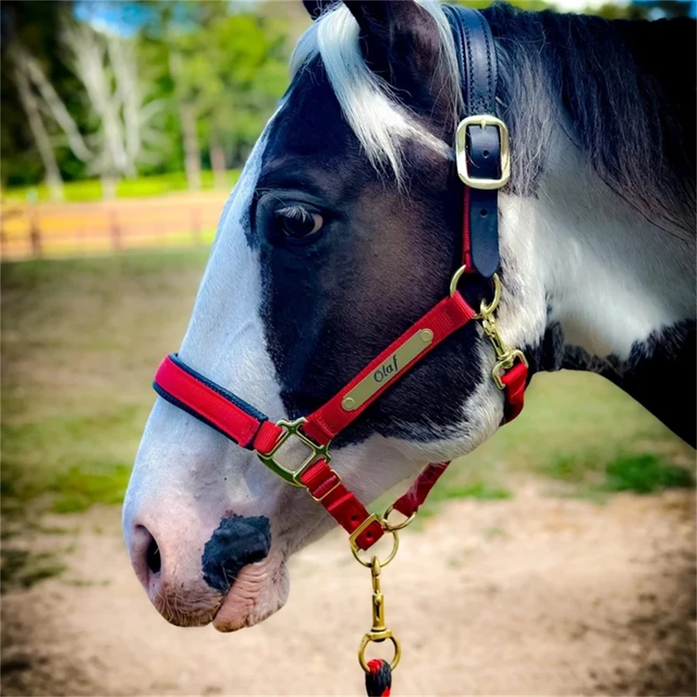 2pcs Custom Horse Name Martingale Plate Personalized Nameplates for