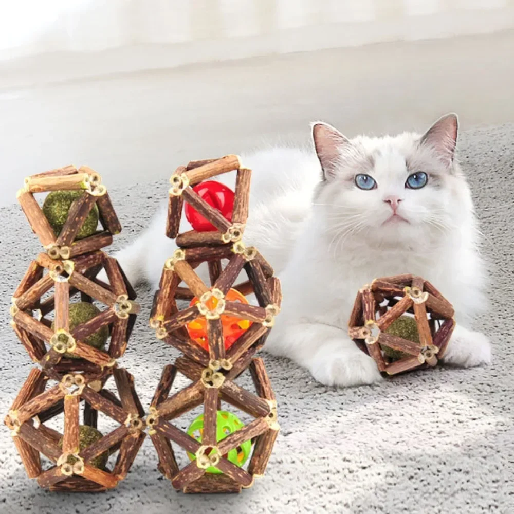 Chat Sain Collations Cataire Sucre Bonbons Léchage Nutrition