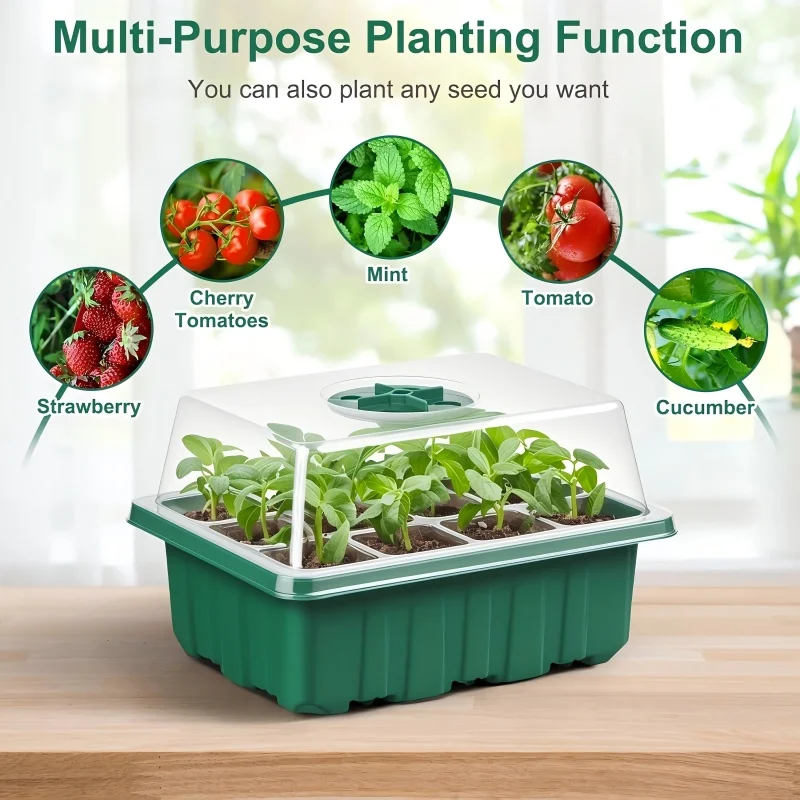 Heavy-Duty Seed Starter Tray for Optimal Ventilation and Drainage