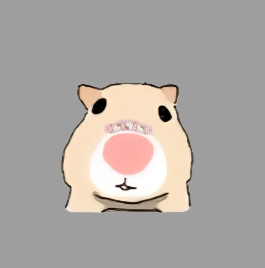 Magnetic Car Phone Holder 360° Rotation Folding With Vacuum Suction Cup For iPhone 12-16 Series Car/Gym/Driving Phone Holder photo review