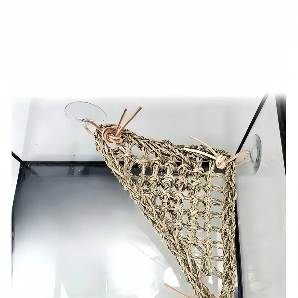 Title 2, Crawling Pet Vines Fagohige Lizard Hammock Agam...