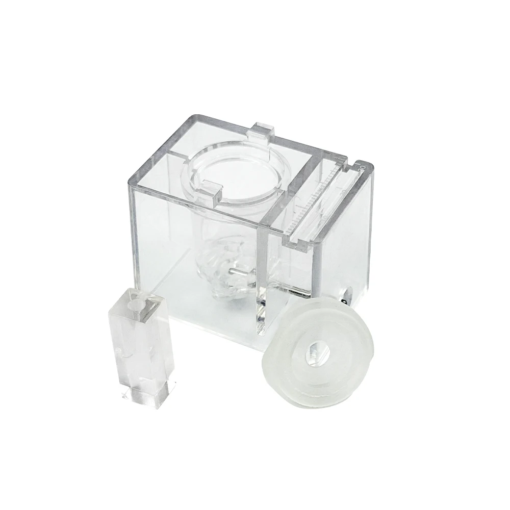 Root Canal Dental Training Model 3
