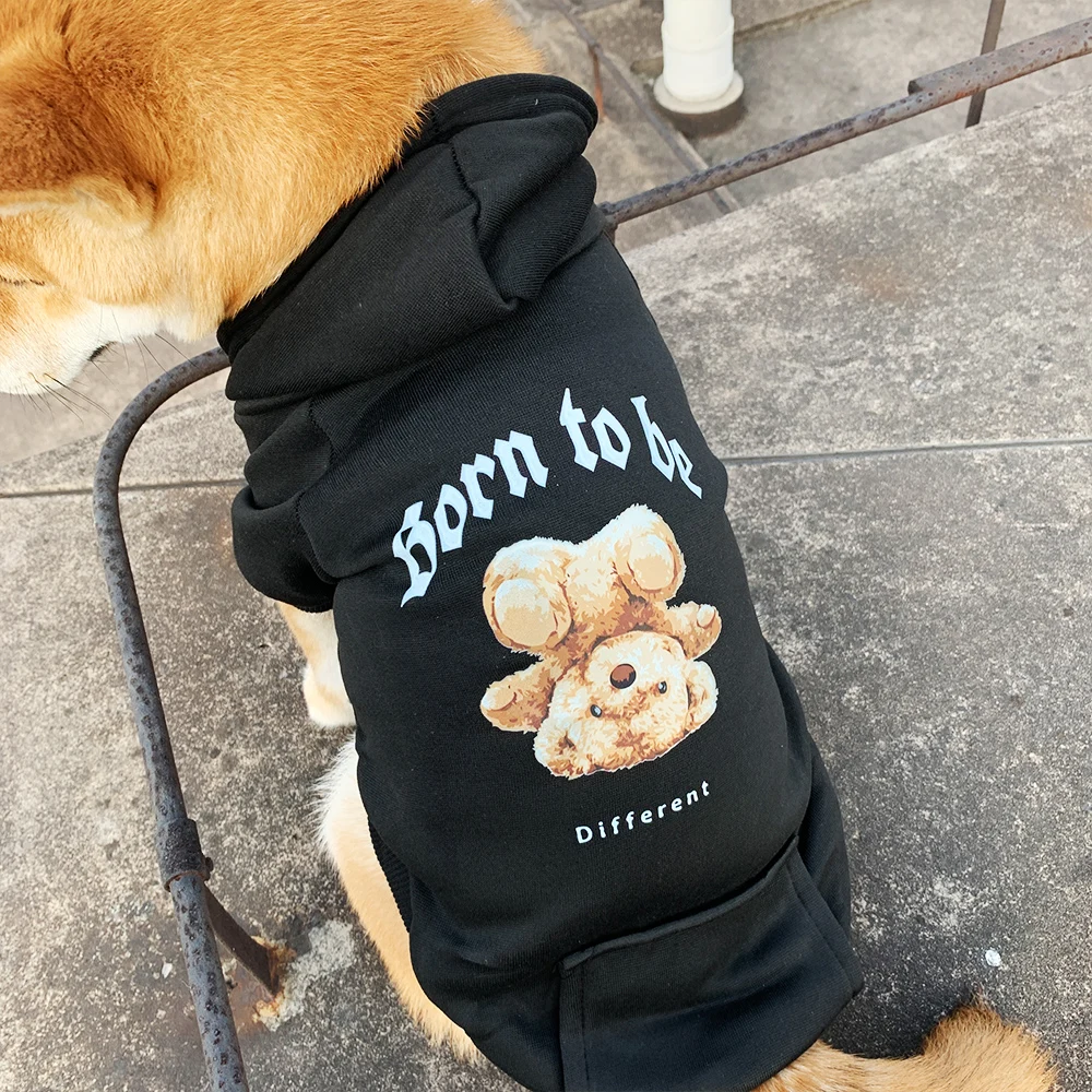Sweat à capuche pour chiens Born to be Different - 2025 - Doglovedesign : Vêtement et accessoires pour chiens