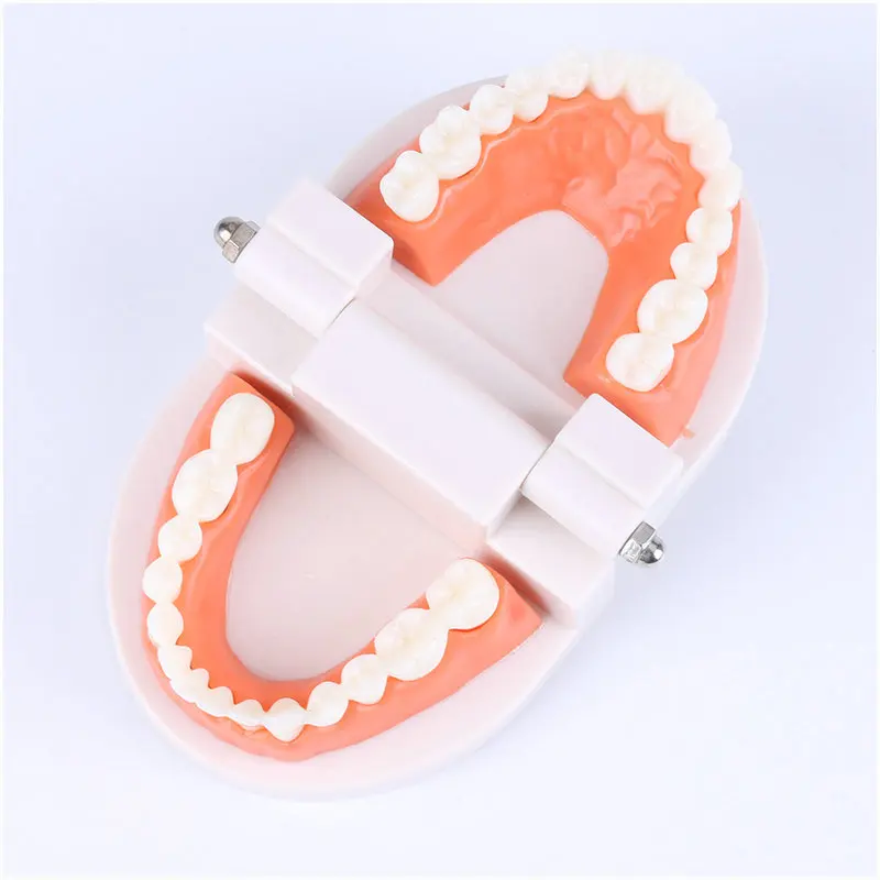 Montessori Educational Toys for Children Early Learning Kids Intelligence Brushing Tooth Teaching Aids Simulated Practical Life - 4