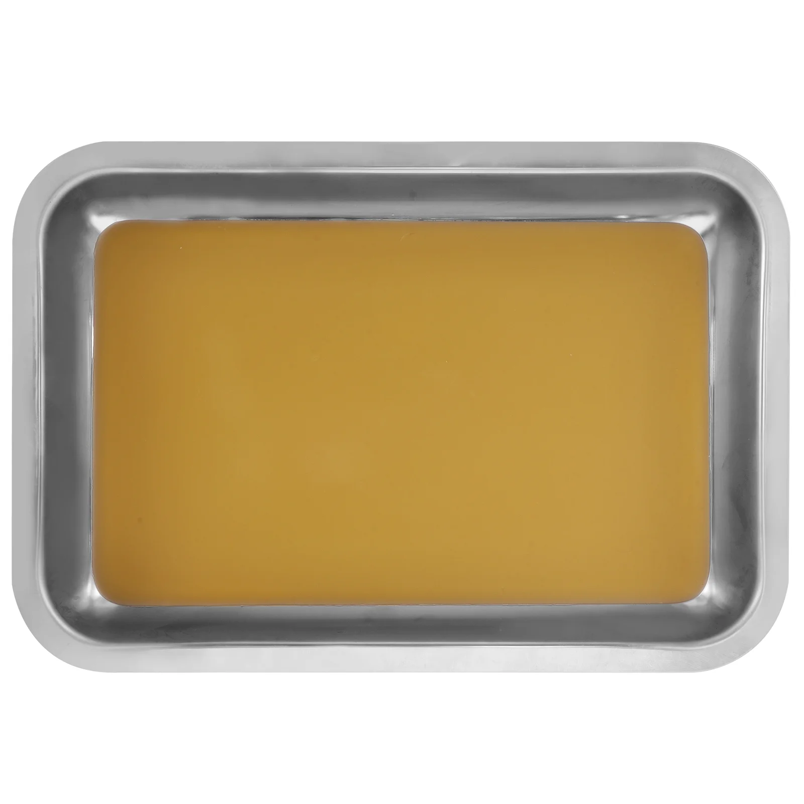 

Wax Dissection Tray Stainless Steel Dissection Tray Biological Laboratory Dissecting Tray