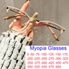 Anti Blue Light Nearsighted Glasses For Women Optical Myopia Eyeglasses Fashion Hollow Cat Eye Glasses Frame Points Minus -1 -3 1