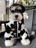 Dog clothes autumn and winter warm schnauzer fah bichon teddy small and medium-sized dogs and cats thickened fur coat