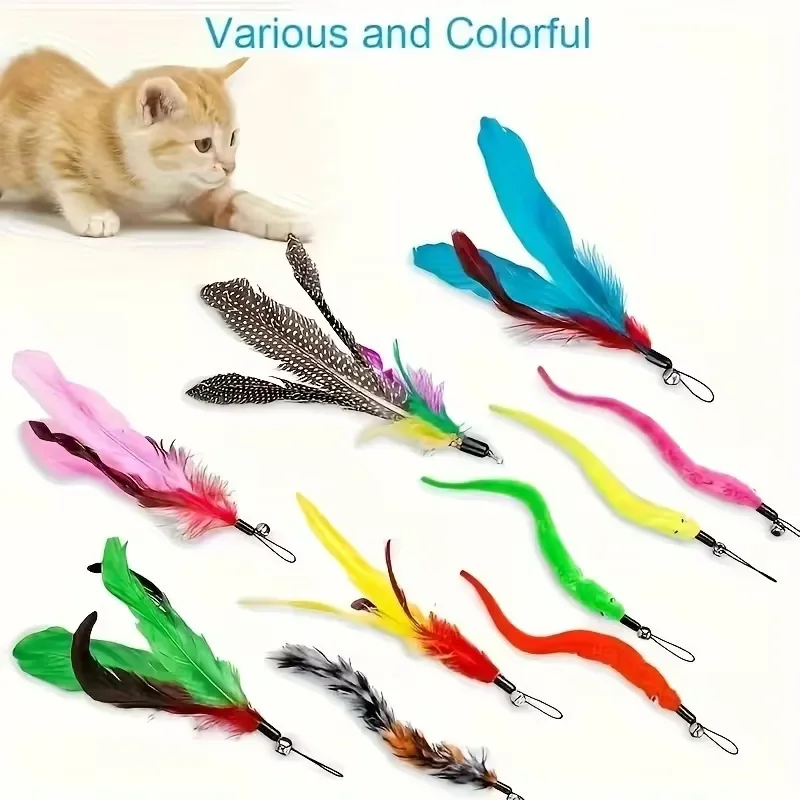 11PCS Interactive Cat Toy Set, Cat Teaser Stick, Equipped with A Replacement Head, Attracting Cats To Play with The Teaser Stick