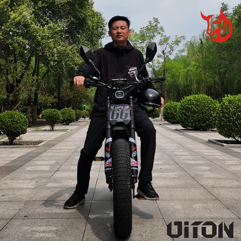 Diton S-300 60V 3000W Electric Bike | 25Ah Remote Battery | Powerful Motor, Off-Road Electric Bike for Outdoor Lovers