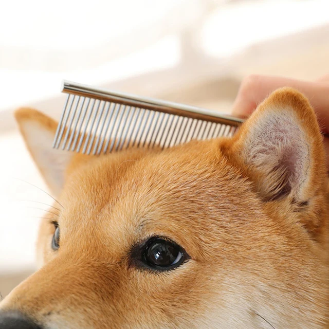 Stainless Steel Dog Comb Long Thick Hair Fur Removal Brush 16/19cm Pets Dog Cat Grooming Dematting Combs for Shaggy Dogs 3