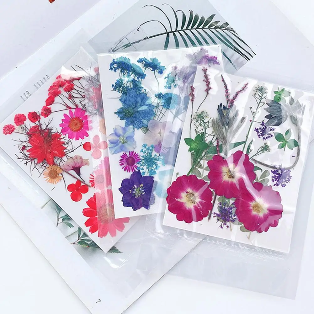 DIY gepresste Blumen Aufkleber 1 Tasche getrocknete Blumen gemischte Pflanzen für Telefon Fall Schmuck machen Handwerk Nail Art Dekor Zubehör