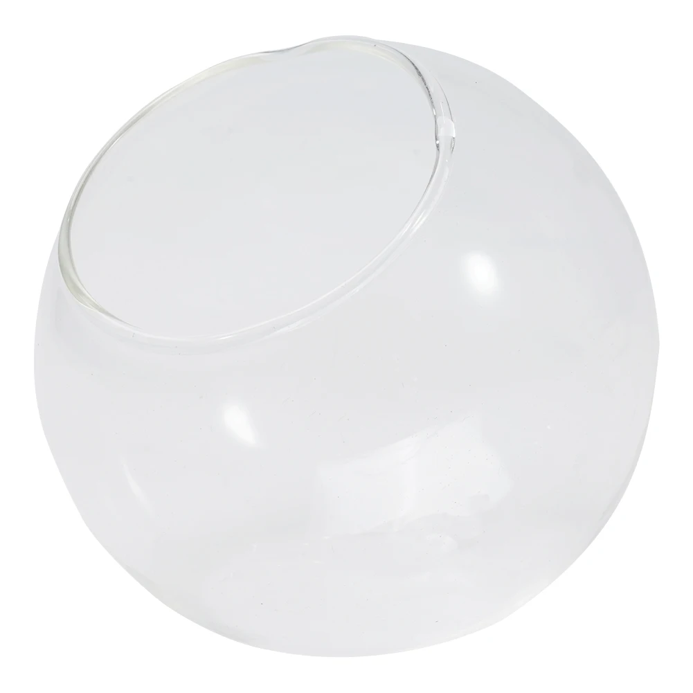 

1PCS Transparent Oblique Spherical Glass Vase Hydroponic Fleshy Micro Landscape Glass Bottle Moss Home Decoration