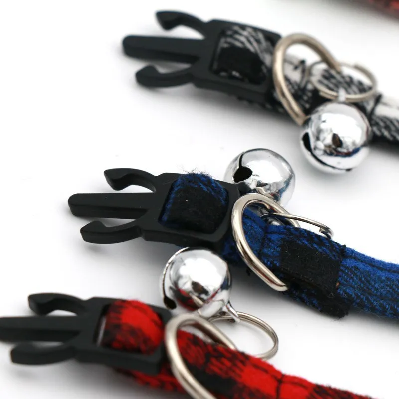 corbata gato.jpg_.webp