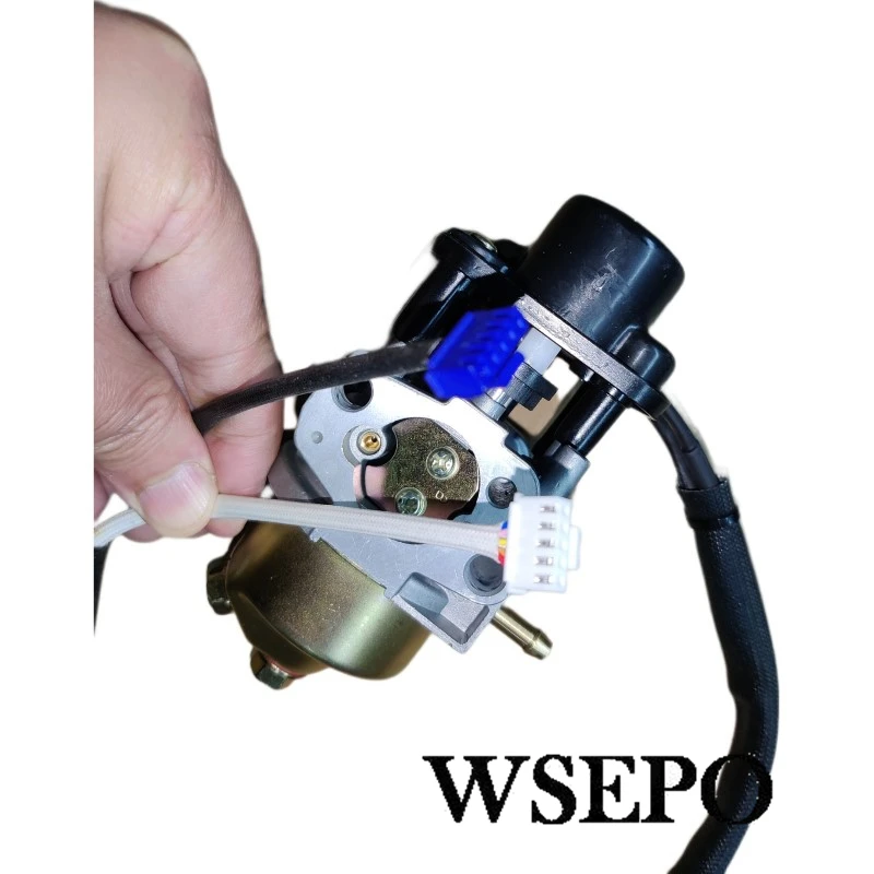 WSE2000/5000FA 및 WSE5000S DC 배터리 충전 발전기 확장기 발전기..