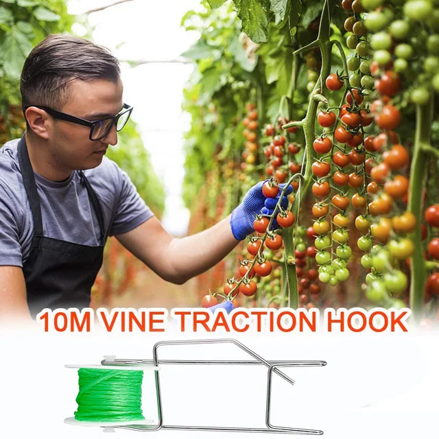 5/10 db Görgős Horog Növény Növekedési Tapadási Paradicsom Virág Szőlőzsinórrácsos Rácsos Zöldségklipek Üvegházhatás - Image 3