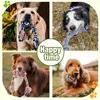 Durable training interactive dog rope toy, suitable for dog play and interaction. Dog toy set, multifunctional teething rope 4