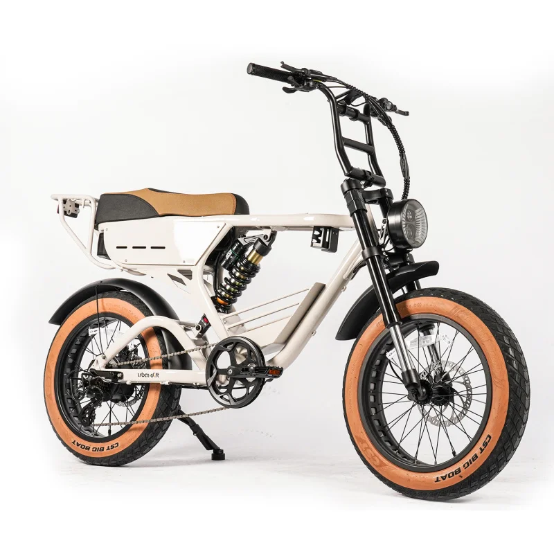 1000W Alloy Aluminum Fat Bike 7 Speed Ebike Off Road 20Inch Tires Mountain Bicycle Electric Bike Single Motor Electric Bikes