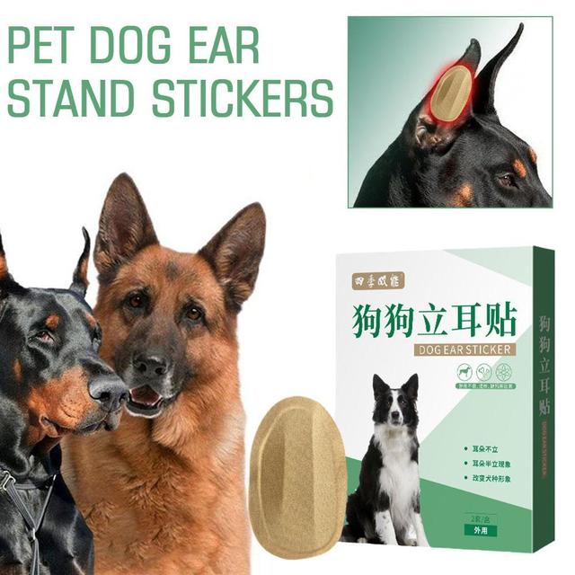 2pcs/set Pet Dog Ear Stand Up Ear Correction Dog Supplies Ear Care