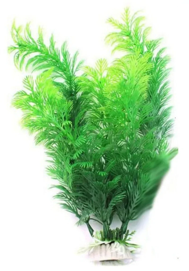 Aquatic Plants Aquarium simulation plant