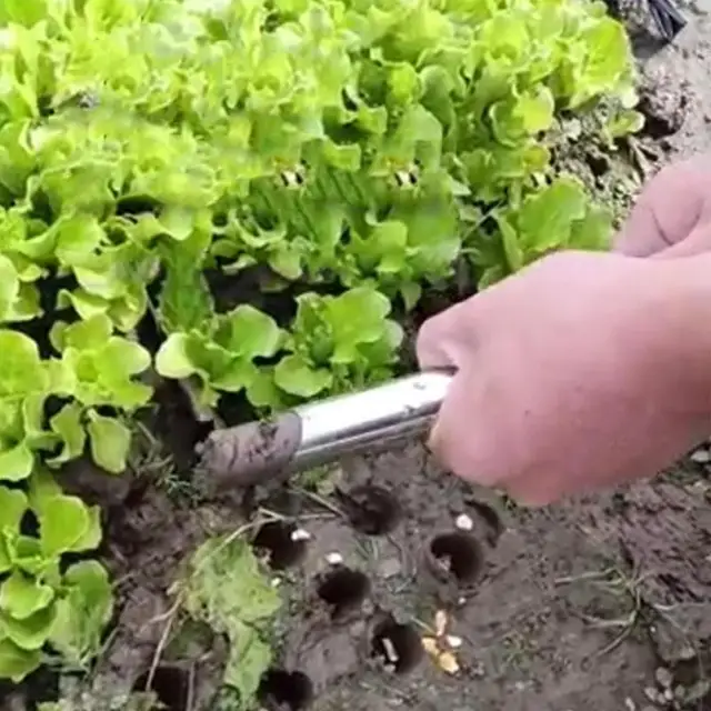 Kézi Disznó Szerszám Rozsdamentes Acél Izzó Transzplanter Kerti Átültetés Mezőgazdasági Dibble Ültetéshez És Vetéshez - Image 4