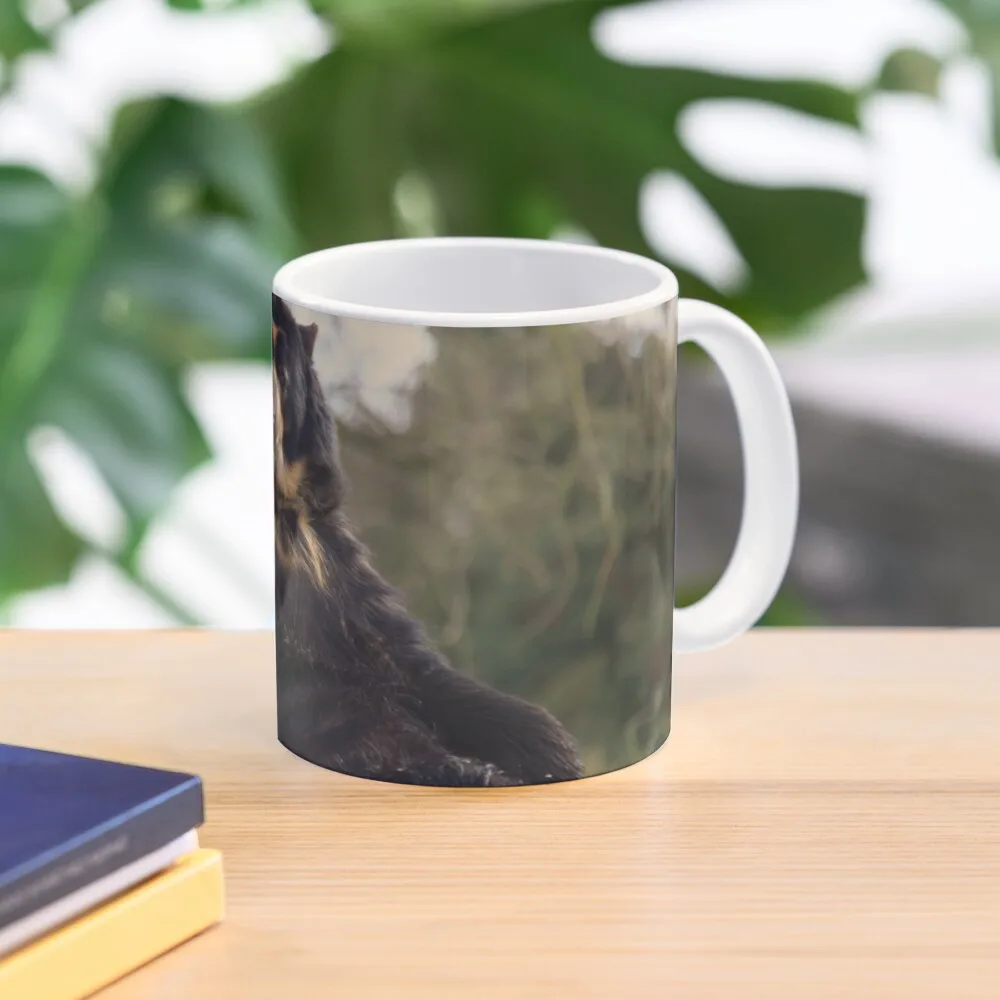

Spectacled Bear Posing For A Shot Coffee Mug Funny Cups Cups Set Mug