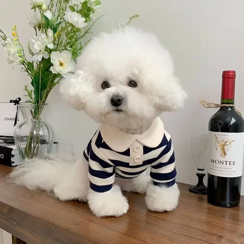 

Polo Shirt for Puppy, Korean Chihuahua, Teddy York Shire, Summer Striped Pet T-Shirt, Dog Costume, Soft Pullover Suit for Dog