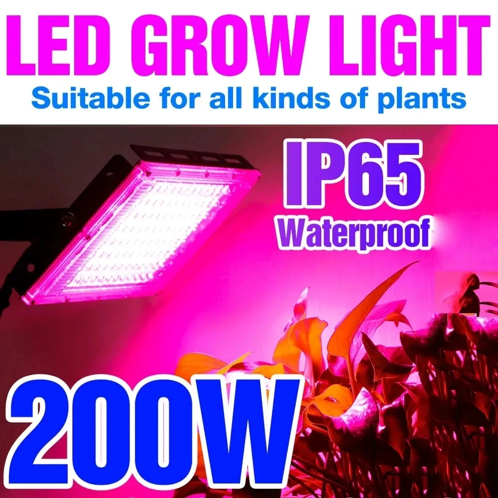 Led Grow Light Phytolamp Per Piante Coltivazione Indoor A Spettro Completo 50W 100W 200W 300W Phyto Black Lights Per Veg Flower