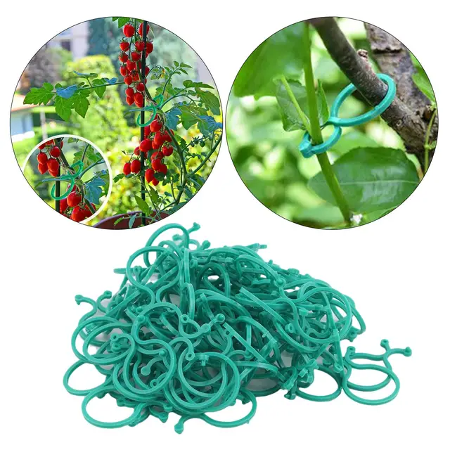 100 Növényi Klip, Szőlőüzem A Paradicsom, Uborka, Paprika, Dinnye, Növények És Virágok Támogatására - Image 4