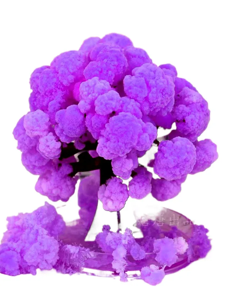 

1 PCS 2024 90x80 MM Magically Paper Sakura Crystal Trees Magic Growing Tree Japan Desktop Cherry Blossom Science Toys Novelty