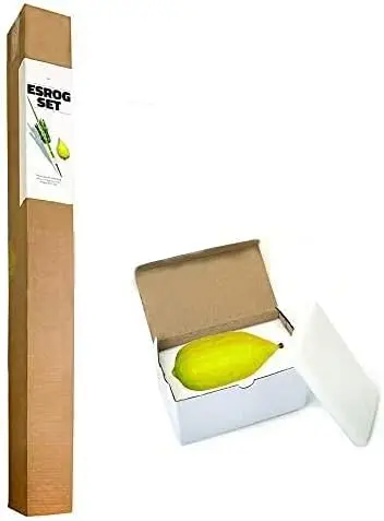 

Etrog LULAV AND ETROG | Includes Lulav Holder | Lung Lulav | and a Etrog Box | Guide | 100% Certified Kosher - Well Packed - for