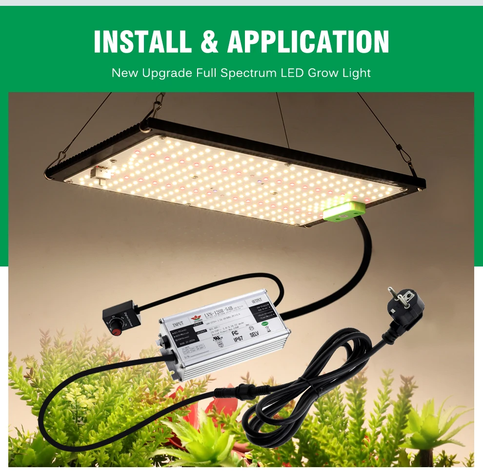 LED Grow Light 120W 240W LM301H Full Spectrum Hydroponic Growing Lamp for Plant Growth Lighting Veg Flowers Greenhouse 11