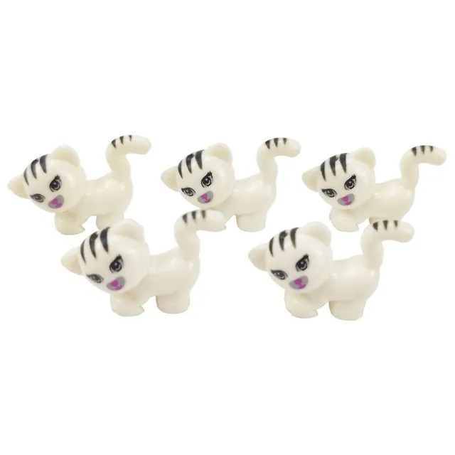 Image 30