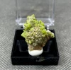 Natural rare Pyromorphite mineral specimen + box size 3.4 cm + healing quartz crystals and stones rock gemstone 5