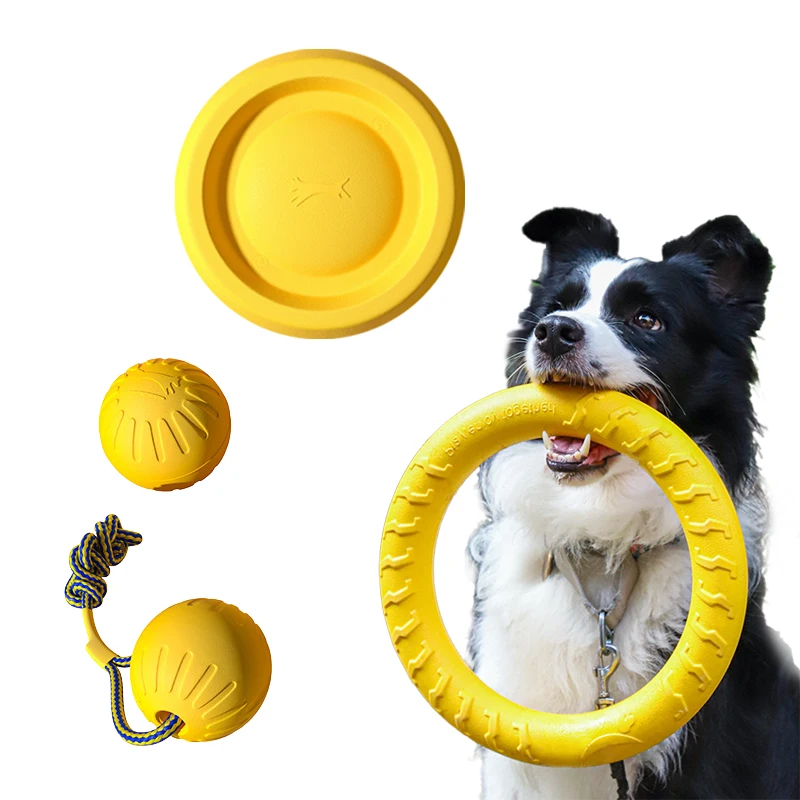 Durable Dog Toy Set 1