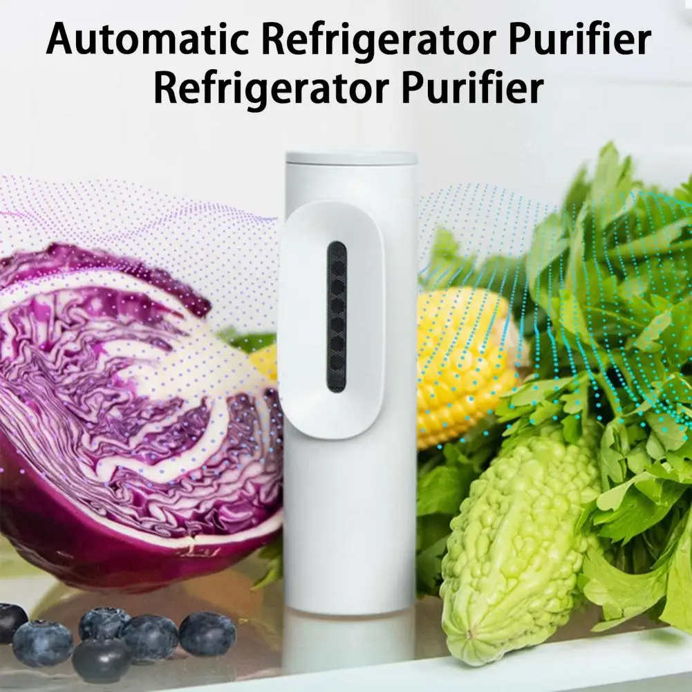 Versatile Deodorizer Portable Mini Fridge Deodorizer with Usb Charging Rechargeable Odor Eliminator for Refrigerators for Small